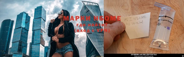 прущие грибы Балабаново