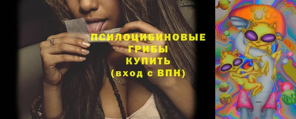 прущие грибы Балабаново