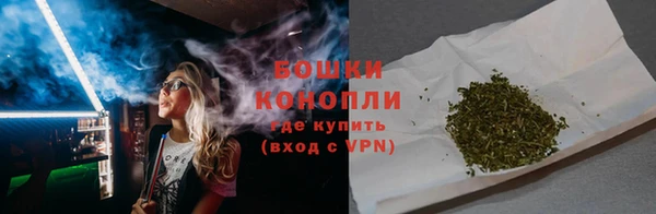 прущие грибы Балабаново