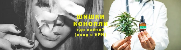 ПСИЛОЦИБИНОВЫЕ ГРИБЫ Балахна