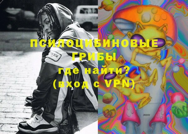 прущие грибы Балабаново