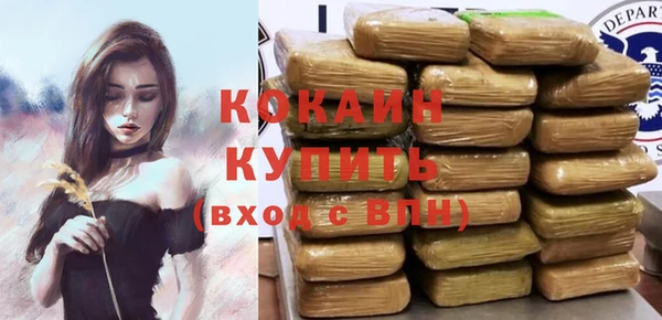 прущие грибы Балабаново