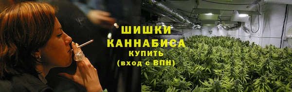 ПСИЛОЦИБИНОВЫЕ ГРИБЫ Балахна