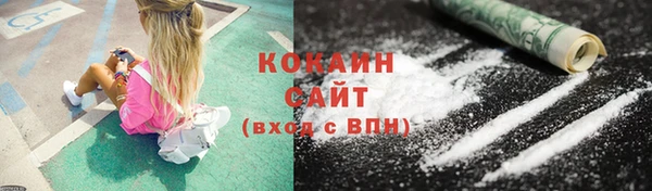 прущие грибы Балабаново