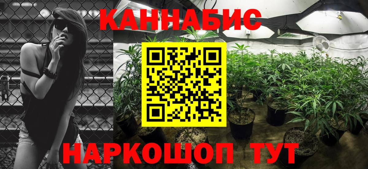 Бошки марихуана конопля  Бошки Шишки VHQ  Корсаков  Вход с VPN  Бошки марихуана семена  Шишки марихуана Amnesia 